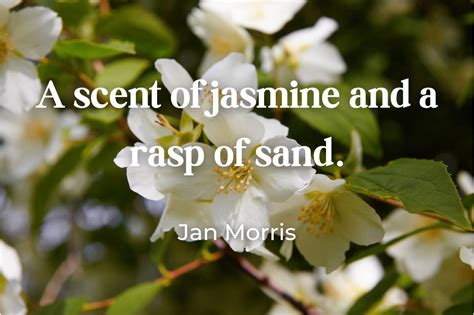 65 Jasmine Quotes for the Flower Lover (+ Pictures)