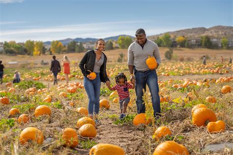 The 7 Best Pumpkin Patches to Visit in Denver and the Front Range - 5280