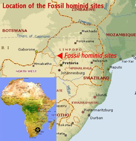 Fossil Hominid Sites of South Africa (South Africa) | African World ...