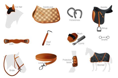 Equestrian equipment ~ Graphic Objects ~ Creative Market