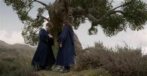 harry potter - Was the tree pictured in this scene the Whomping Willow ...