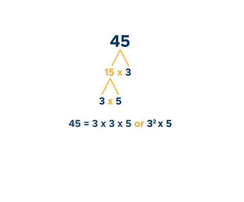 Prime Numbers: Factorization & Factor Tree - Curvebreakers