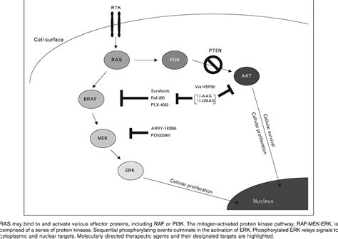 Current Opinion in Oncology