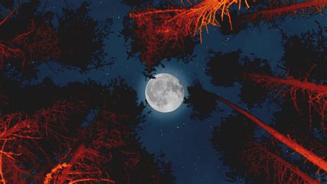 Forest Moon Wallpapers - Top Free Forest Moon Backgrounds - WallpaperAccess