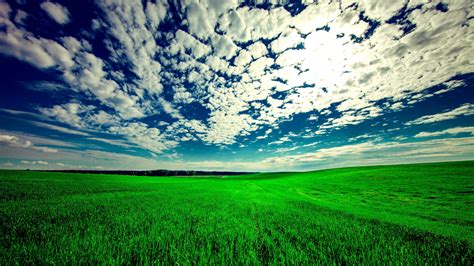 Download wallpaper 1366x768 field, landscape, grassland, nature, sunny ...