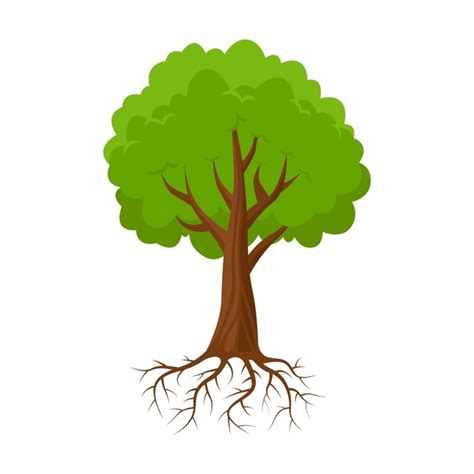 9+ Thousand Cartoon Tree Roots Royalty-Free Images, Stock Photos ...