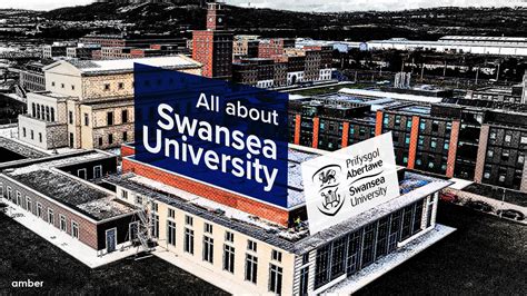 Swansea University: Acceptance Rate, Top Courses, Ranking & More! | Amber