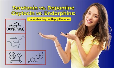 Serotonin Vs. Dopamine Vs. Oxytocin Vs. Endorphins: Understanding The ...