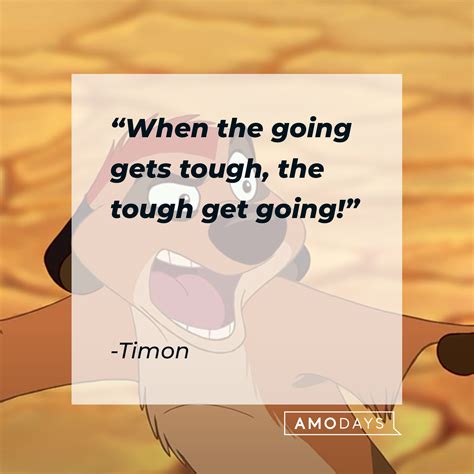 35 Timon Quotes on His Laidback Views Complete with Some Wisecracks