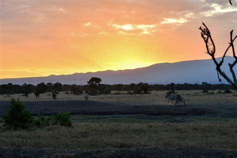 2. Spectacular sunrise over Mount Kenya in Ol Pejeta - USTOA Blog