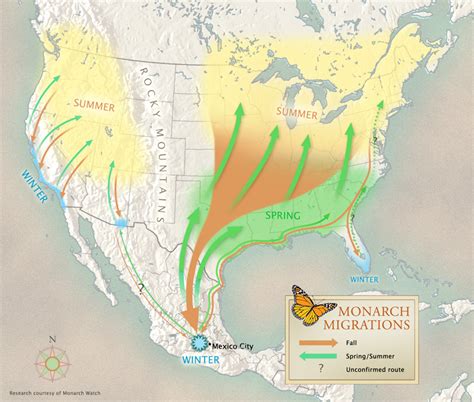 Monarch Butterfly Migration Map