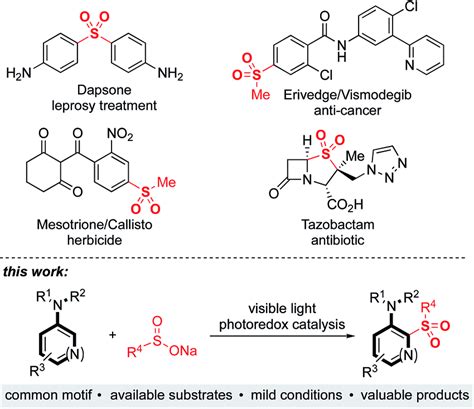 Biologically active sulfones, and the reaction targeted in this work ...