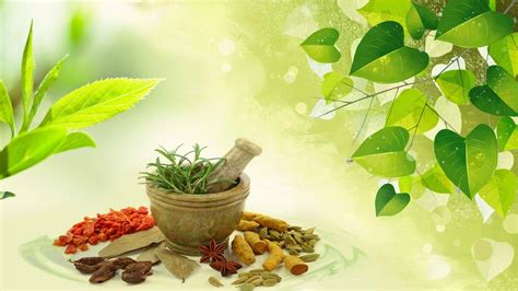 Apiherbal - 100% natural herbal products