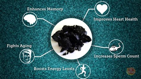 Ten benefits of shilajit - Himalayas Organic Foods