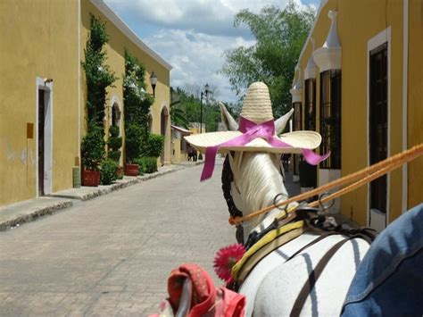 Izamal, Mexico | Yucatan mexico, Mayan cities, Mexico