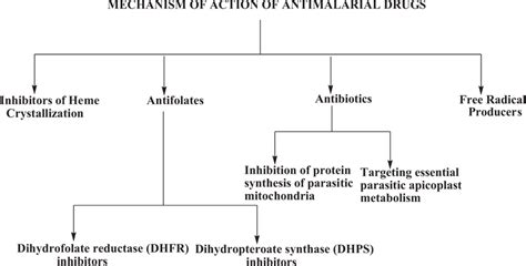 Mechanism of various antimalarial drugs | Download Scientific Diagram