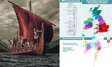 Dna Makeup Of England | Makeupview.co