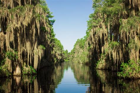 Okefenokee Swamp Park – southerngeorgiamagazine.com