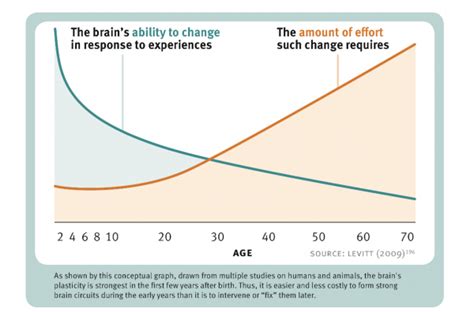 Neuroplasticity - BurnZero