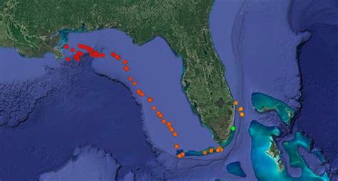 Tracking Sharks – Shark Research & Conservation Program (SRC ...