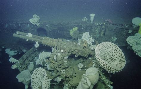 Amazing images offer first glimpse of sunken WWII-era aircraft carrier ...