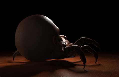 Arachnophobia on Behance