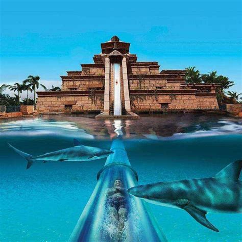 Aquaventure (Atlantis The Palm)