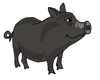 Black Pig Cartoon - ClipArt Best