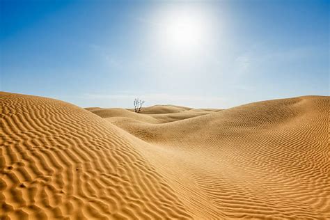 160+ Fotos, Bilder und lizenzfreie Bilder zu Große Sandwüste - iStock