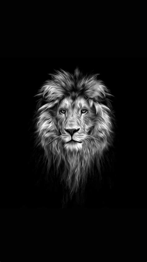 Lions Wallpaper