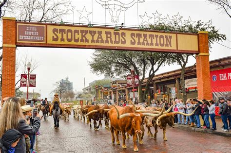 A Guide To The Fort Worth Stockyards | Explore Shaw