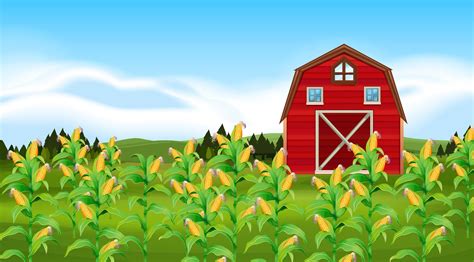 Scene with corn field 372490 Vector Art at Vecteezy