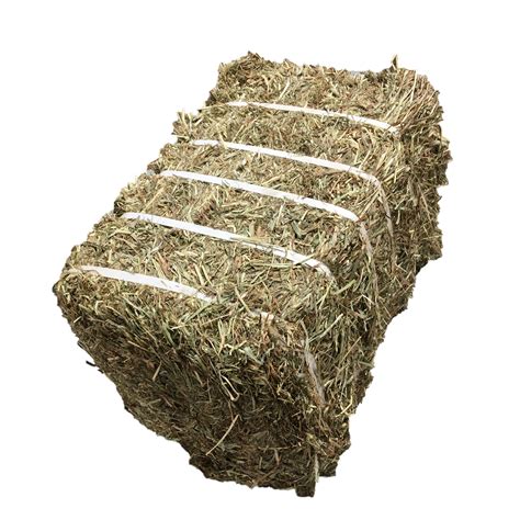 Compressed Hay Bales - Lonestar Tack and Feed