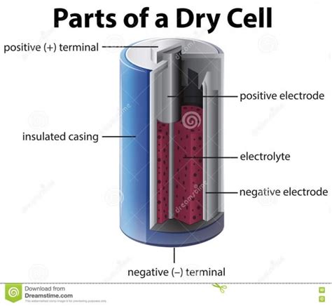 Diagram Showing Inside Of Battery Stock Vector | Best Diagram Collection