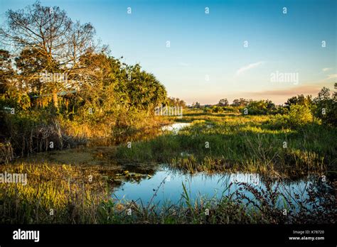 Everglades Sunset National Park lake reflections Stock Photo - Alamy