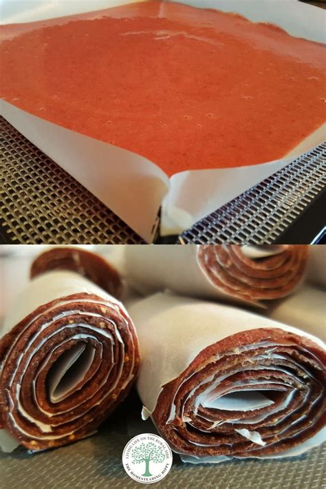 No-Cook Fruit Leather Dehydrator Recipes * The Homesteading Hippy ...