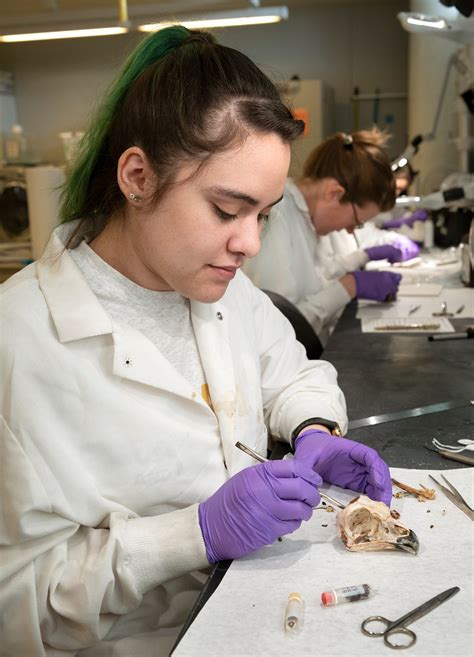 Dem Bones, Dem Bones, Dem Dry Bones | by Denver Museum of Nature ...