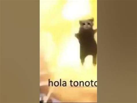 hola tonotos meme - YouTube