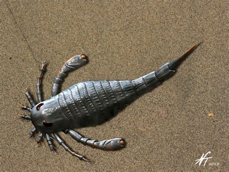 Eurypterus tetragonophthalmus by Nobu Tamura “Eurypterus is a genus of ...