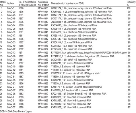 Identification of lactic acid bacteria (LAB) isolated from yak milk ...