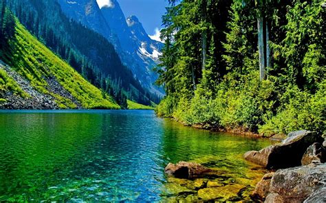 🔥 Free Download Forest Mountain River Nature Desktop Wallpaper by ...