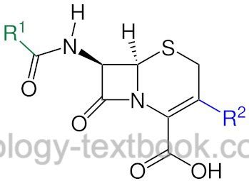 Cephalosporins: Four Generations of Beta-Lactam Antibiotics