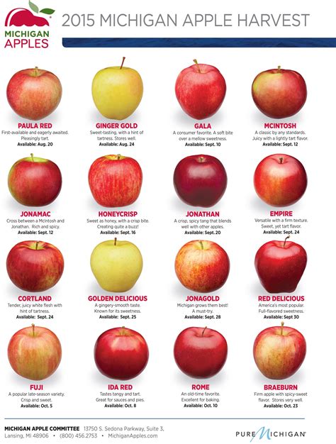 2015 Michigan Apple Harvest Dates - MichiganApples.com | Apple ...