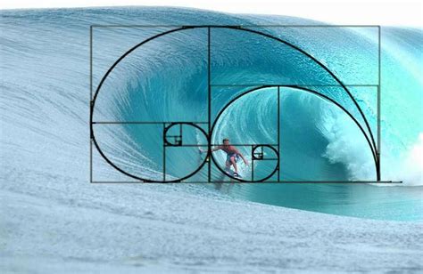 Fibonacci Percentages | Geometry in nature, Fibonacci art, Spirals in ...