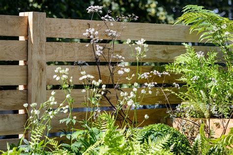 11 of the Best Garden Fence Ideas | BBC Gardeners World Magazine