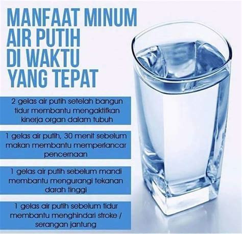 kebaikan meminum air putih - Shannon Le