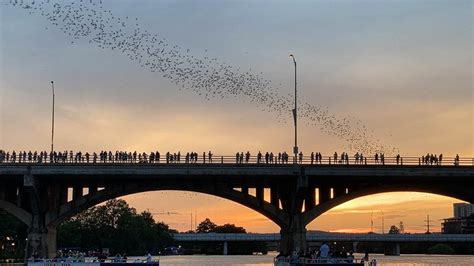 A Map Of Where To Watch The Sunset In Austin | The Austin Things