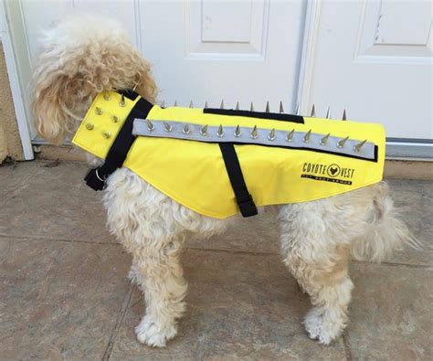 Coyote roller for containing fence-hopping pets - videos and photo ...