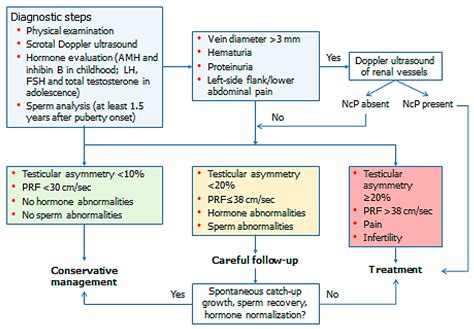 Varicocele Grading