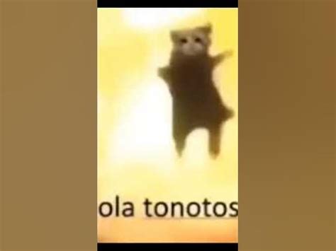 hola tonotos - YouTube